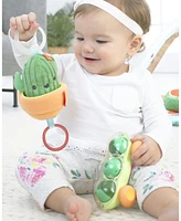 Skip Hop Farmstand Cactus Jitter Toy