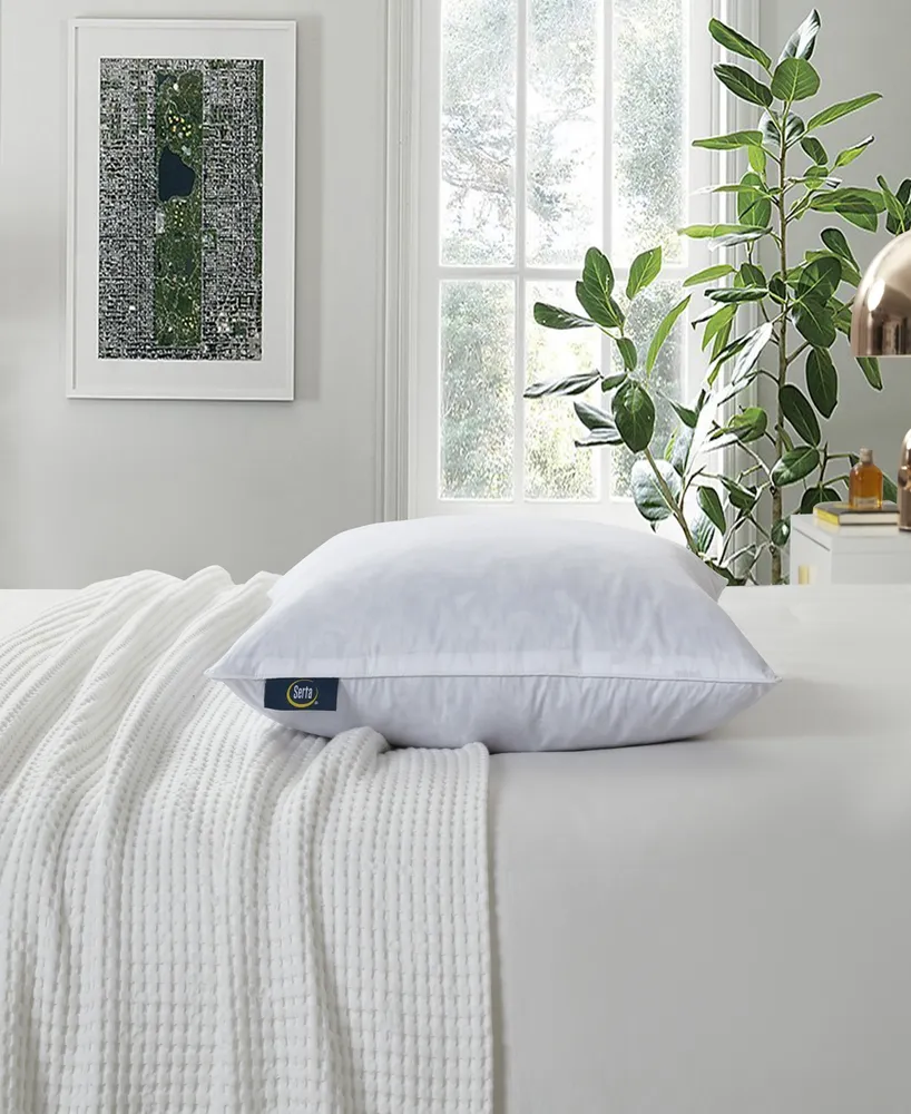 Serta Feather Filled 2-Pack Pillow Inserts, 20" x 20"