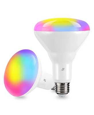 Smart BR30 Dimmable Light Bulb - Dimmable Color Changing Led, Set of 2