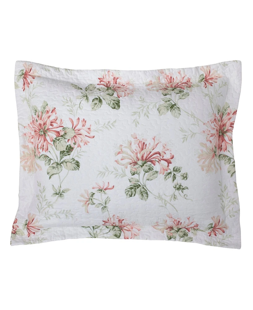 Laura Ashley Honeysuckle Cotton Reversible -Pc. Quilt Set