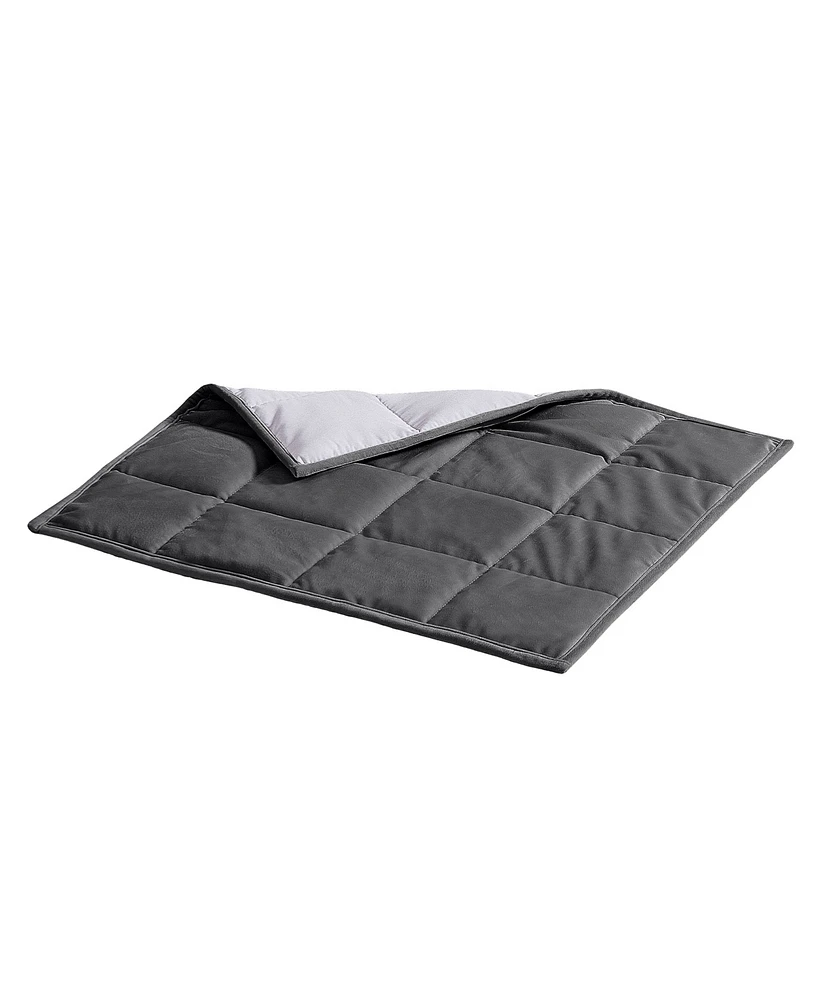 DreamLab 5lb Weighted Lap Throw, 20" x 23"