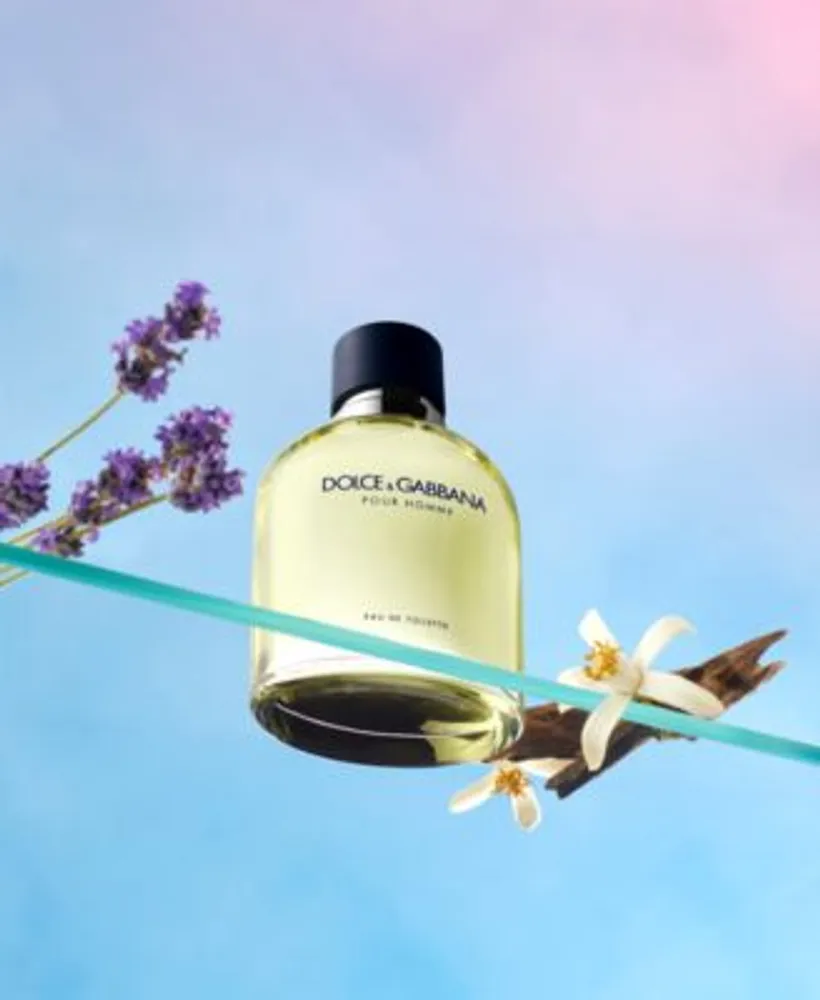 Dolce Gabbana Pour Homme Eau De Toilette Fragrance Collection For Men