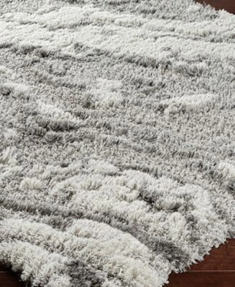 Livabliss Alta Shag Asg2301 Area Rug
