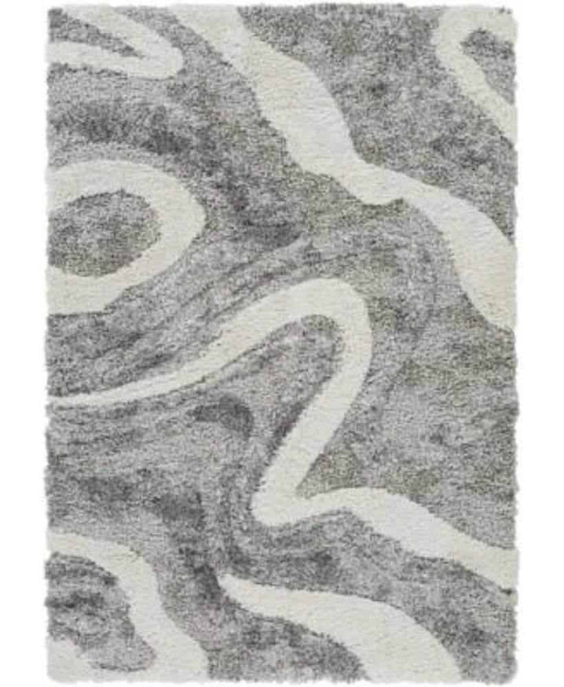 Livabliss Alta Shag Asg2303 Area Rug