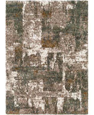 Livabliss Celestial Shag Csg2306 Area Rug