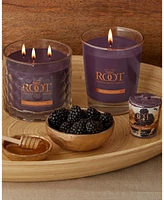 Large Veriglass Blackberry Honey Fragrance Jar Candle