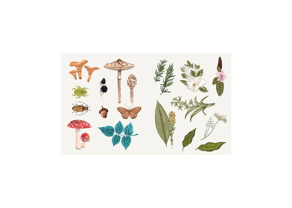 Sticker Studio - Apothecary