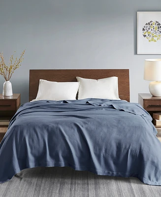 Madison Park Egyptian Cotton Blanket