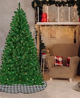 National Tree Company Acacia Pre-lit Christmas Tree with 300 Clear Incandescent or Multicolor Lights, 6'