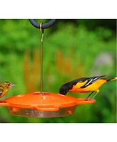 Aspects Oriole Nectar Feeder, 4 Ports, 16 oz
