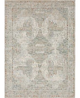 Karastan Solitude Via Salaria Area Rug