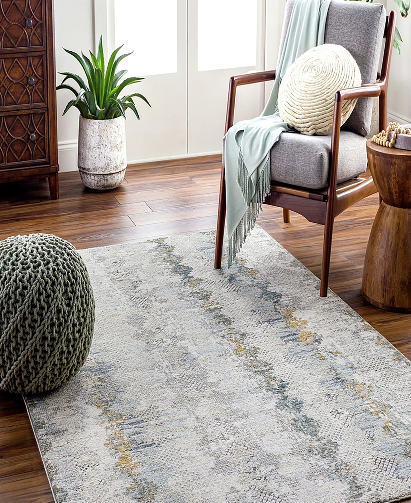 Livabliss Dresden Dre-2303 2' x 3' Area Rug