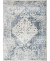 Nourison Home Astra Machine Washable ASW11 5'3" x 7' Area Rug