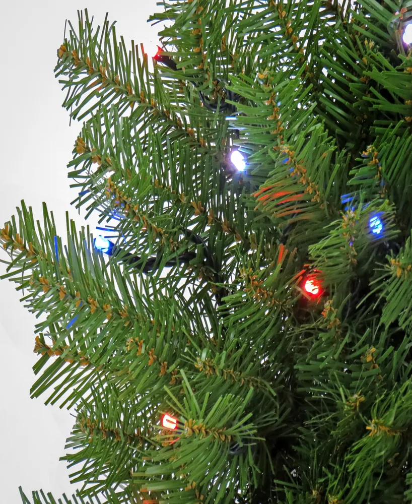 National Tree Company 30" Norwood Fir Wreath with Twinkly Led Lights