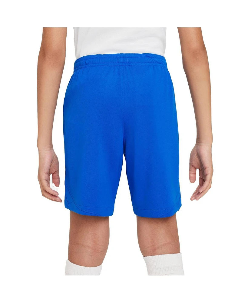 Big Boys Nike Royal Barcelona 2023/24 Away Stadium Performance Shorts