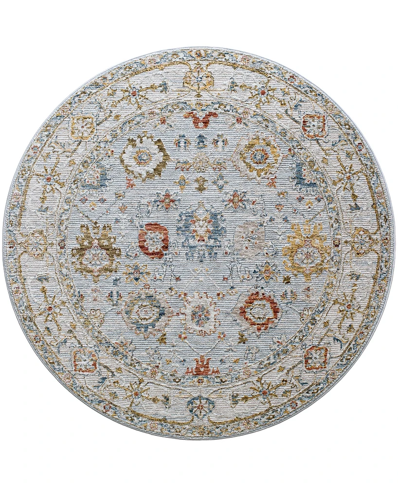 Surya Reina Ren- 7'10" x 7'10" Round Area Rug