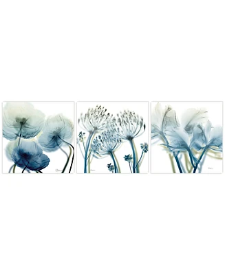 Empire Art Direct Unfocused Beauty 1 2 3 Frameless Free Floating Tempered Glass Panel Graphic Wall Art, 24" x 24" x 0.2" Each