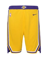 Big Boys Nike Gold Los Angeles Lakers Icon Edition Mesh Performance Swingman Shorts