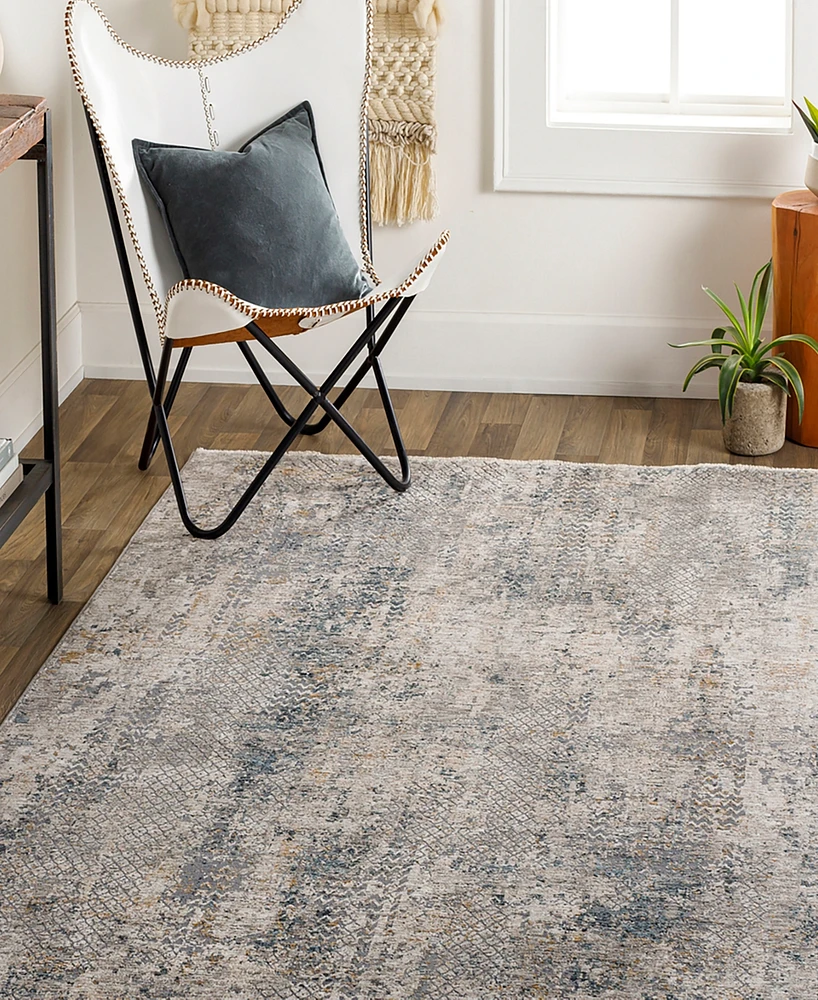 Livabliss Cardiff Cdf-2302 7'10x10'3 Area Rug