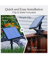 Ambience Pro 27 ft. Outdoor Solar Led 1-Watt String Lights with Warm White Hue