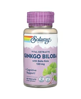 Solaray Vital Extracts Ginkgo Biloba With Gotu Kola
