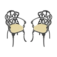 Modern 350lbs Weight Capacity Aluminum & Black Armchair with Cushions