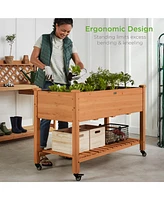 Best Choice Products Raised Garden Bed 48x23x32in Wood Mobile Elevated Planter w/ Wheel Locks, Shelf, Liner