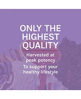 Host Defense Mushrooms Lion's Mane - Brain Health Support Supplement