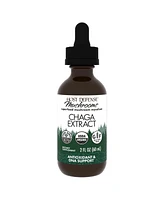 Host Defense Chaga Extract - Immune System Support Supplement - Chaga Mushroom for Antioxidant Activity Support