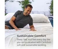 Cariloha Classic 4-Piece Twill Sheet Set | Beach Linen | Queen | Viscose Material |Extra soft, Cooling for Hot Sleepers, Corner Bands