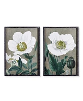 19.75" x 27.5" Stunning Poppy Floral Flower Art Prints in Fir Wood Frame w/ Glass Pane Set of 2