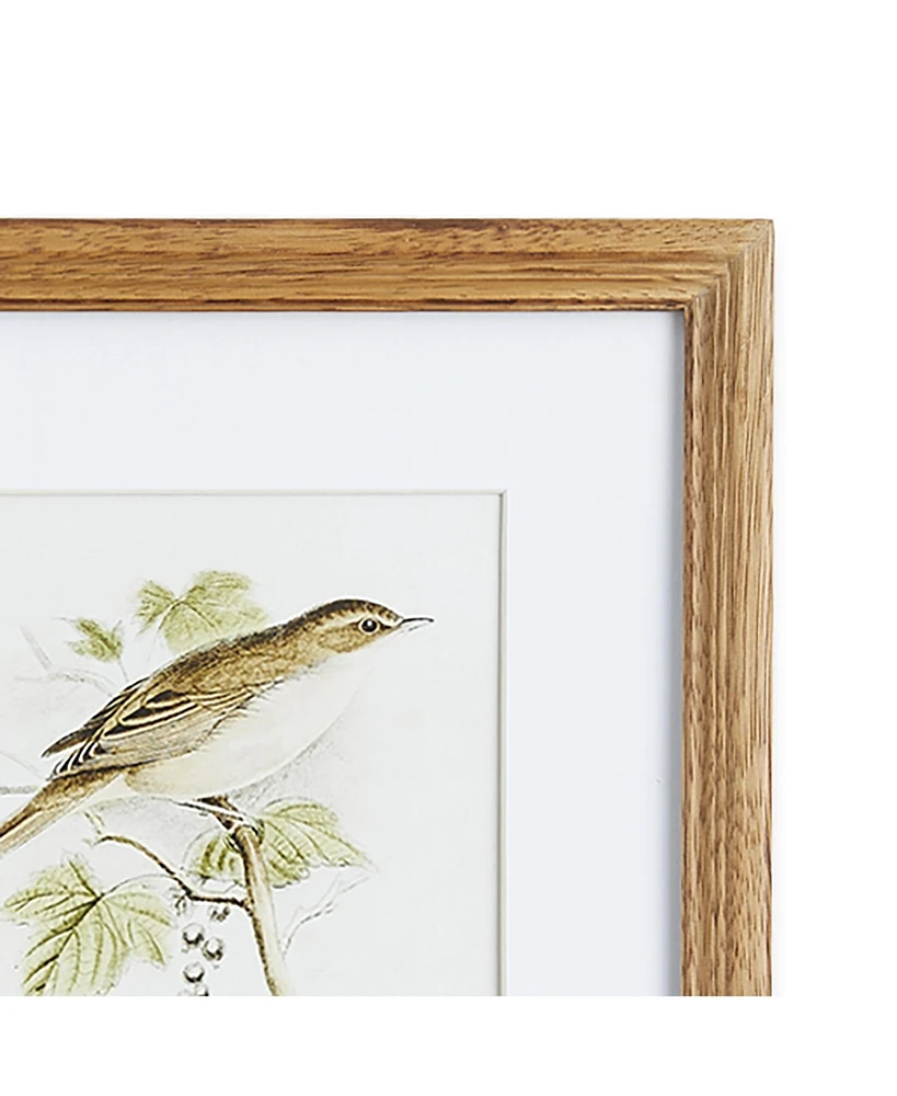 Perching Bird Study Petite Set of 4