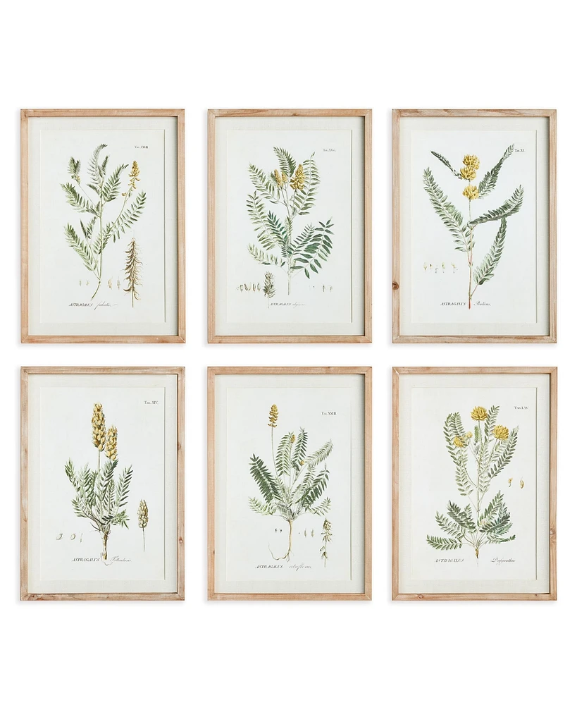 Mid-Summer Blooms Prints Set of 6