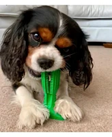 Furry Fido Dog Toothbrush Chew Toy