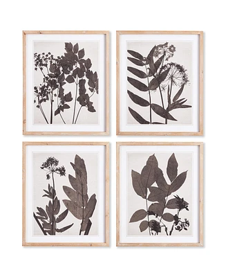 Pressed Foliage Plant Art Prints with Light Wood Frame Set of 4