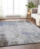 Addison Chantille Machine Washable ACN1232 3'x5' Area Rug