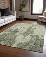 Addison Chantille Machine Washable ACN1389 3'x5' Area Rug