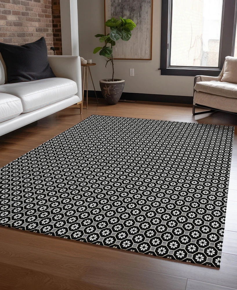 Addison Chantille Machine Washable ACN1429 3'x5' Area Rug