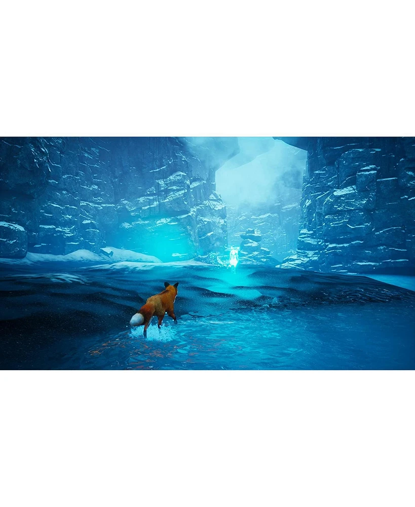 Spirit of The North - PlayStation 5