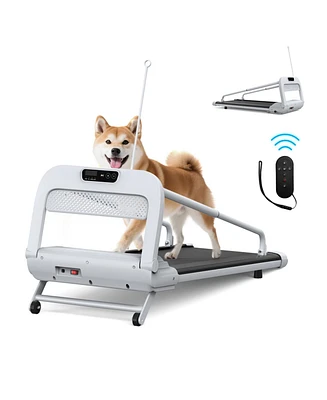 Streamdale Furniture Smart Pet Treadmill, Adjustable Speed
