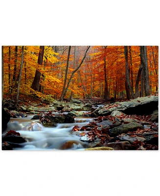 CATeyes 'Ultimate Truth' Canvas Wall Art, 30" x 47"