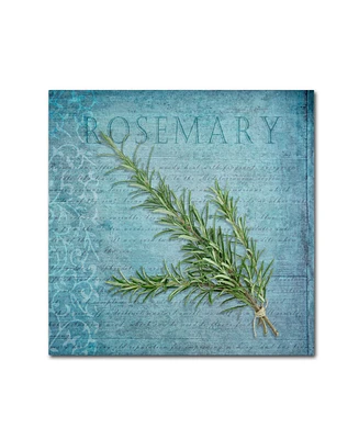 Cora Niele 'Classic Herbs Rosemary' Canvas Art - 14" x 14" x 2"