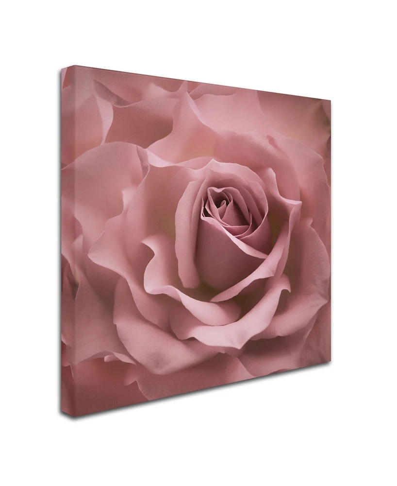 Cora Niele 'Misty Rose Pink Rose' Canvas Art - 24" x 24" x 2"