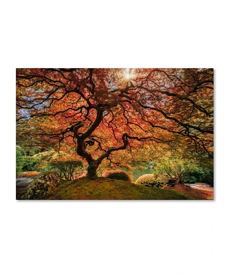 Moises Levy 'The Tree Horizontal' Canvas Art - 12" x 19"