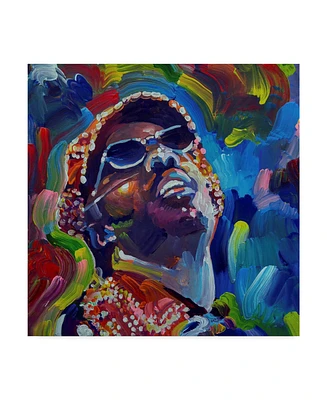 Howie Green 'Stevie Wonder' Canvas Art - 18" x 18"
