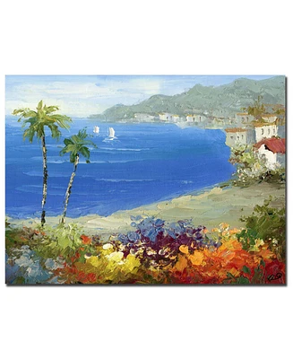 Rio 'Mediterranean Beach' Canvas Art - 47" x 35"