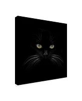 Lori Hutchison 'Black Cat Centered' Canvas Art - 18" x 18"