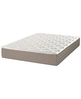 Dusk Dawn 12 Medium Plush Mattress In A Box Collection