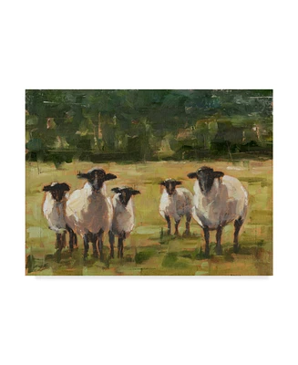 Ethan Harper Sheep Family I Canvas Art - 20" x 25"
