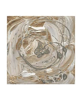 Alicia Ludwig Silver and Gold I Canvas Art - 15" x 20"